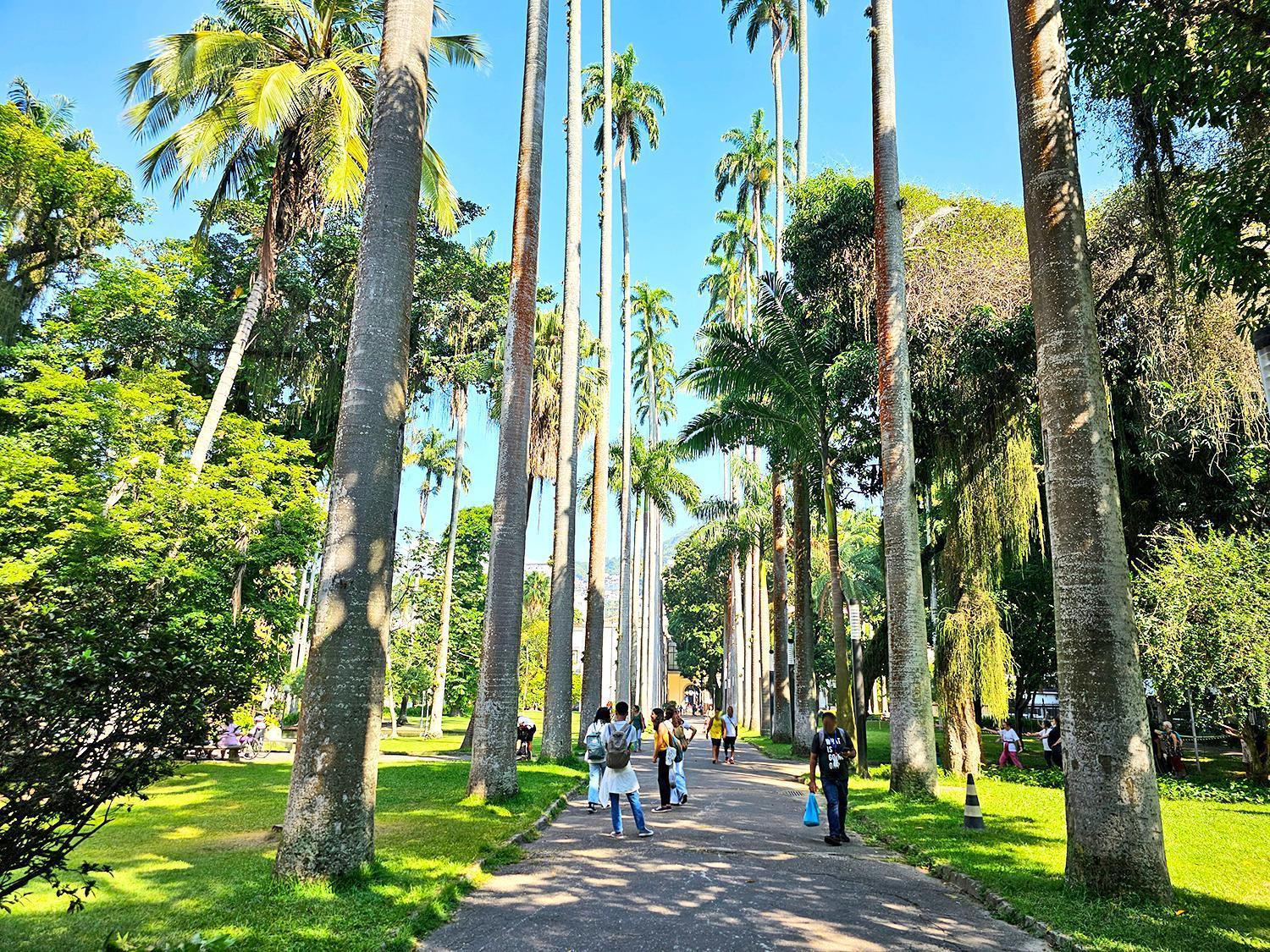 Na Zona Sul Do Rio Apartamento Río de Janeiro